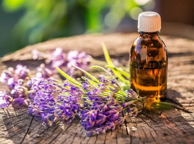 芳香世家精油小課堂:妙用薰衣草精油