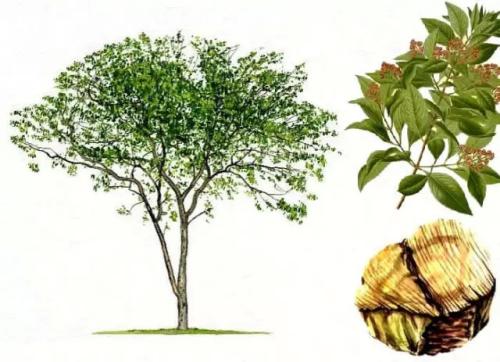 芳香世家這款補(bǔ)水精油,還沒(méi)用過(guò)的趕緊試試!