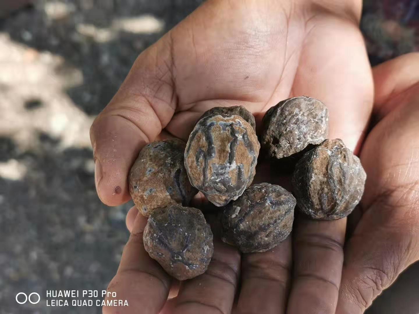 寶寶濕疹有怎么辦?不妨試試這款油