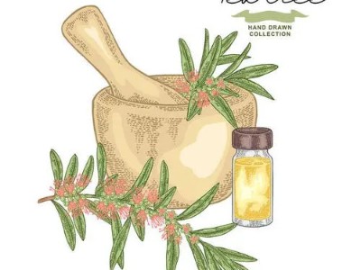 芳香世家劃重點(diǎn)：使用茶樹精油需要注意的幾個點(diǎn)!