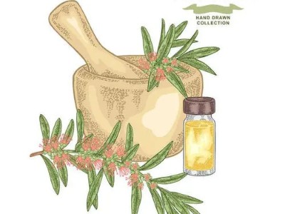 芳香世家茶樹精油,為你的生活保駕護(hù)航