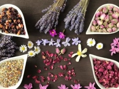 芳香世家精油小課堂：使用精油有什么好處?